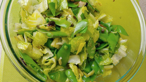 Eggplant, Snow Pea, and Romaine Salad