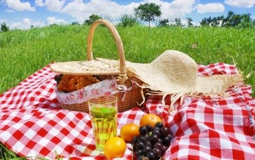 Summer Picnics and Gatherings