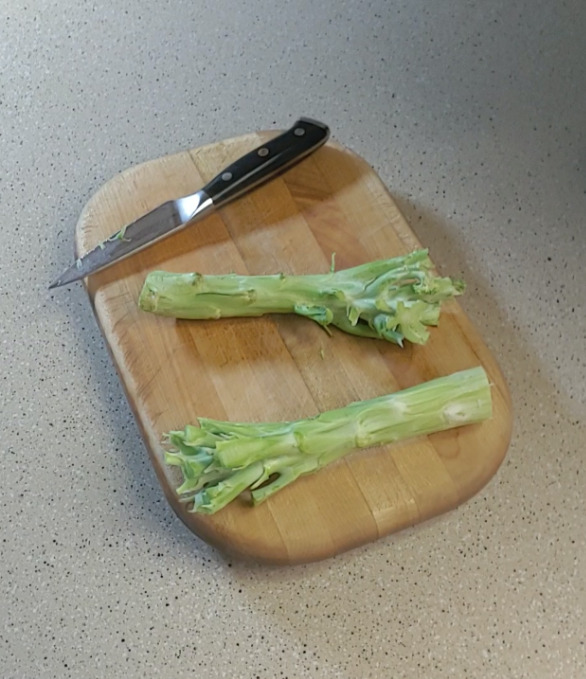 Broccoli Stems